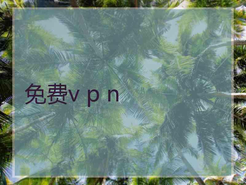 免费v p n